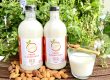 Fresh Almond Milk in Singapore, 100% gluten free, the family kitchen
